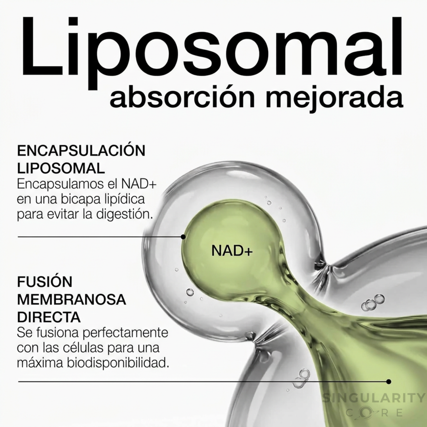 NAD+ Liposomal 750mg - Fórmula Avanzada RiaGev - 90 Días