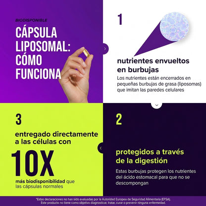 NAD+ Max Nicotinamida Ribósido + Trans-Resveratrol - Energía Celular y Envejecimiento Saludable - 60 Cápsulas