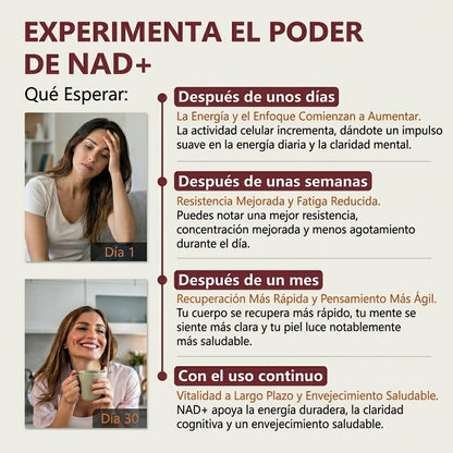 NAD+ Liposomal 750mg - Fórmula Avanzada RiaGev - 90 Días